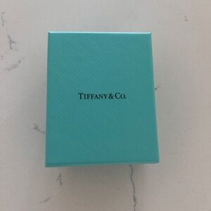 Authentic Sterling Silver Tiffany & Co. Hardware Ball Earrings